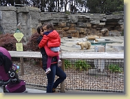Zoo-Dec2013 (123) * 4896 x 3672 * (7.44MB)